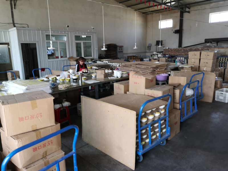 shanxi sonya Factory Photos